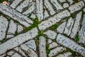 Street stone mosaic in Rovinj
